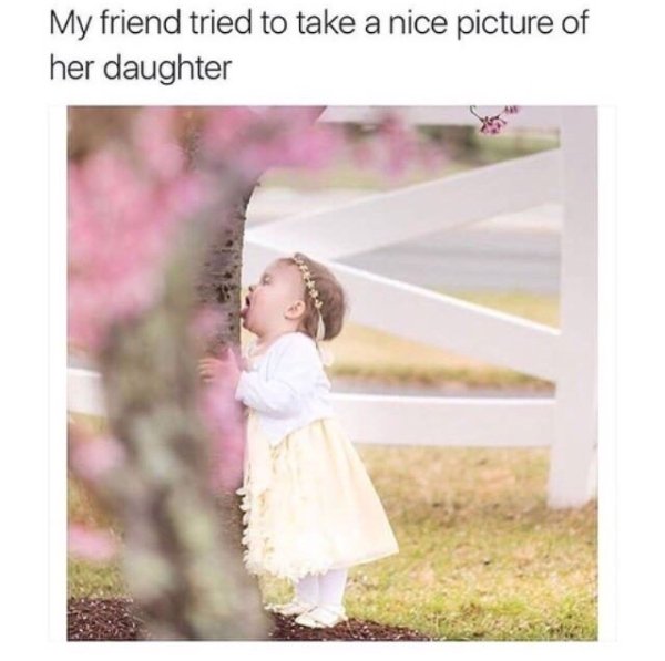 Random Funny Memes (26 pics)