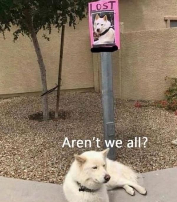 Random Funny Memes (26 pics)