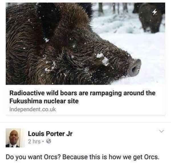 Random Funny Memes (26 pics)