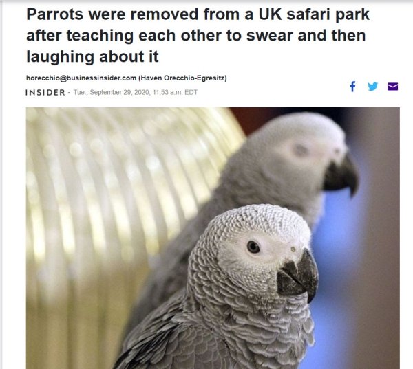Random Funny Memes (26 pics)