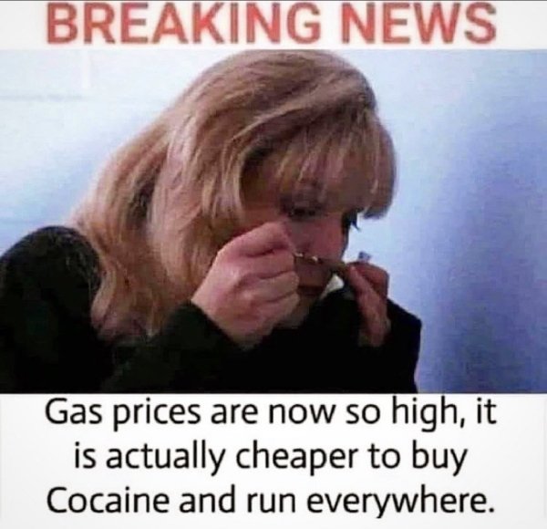 Random Funny Memes (26 pics)