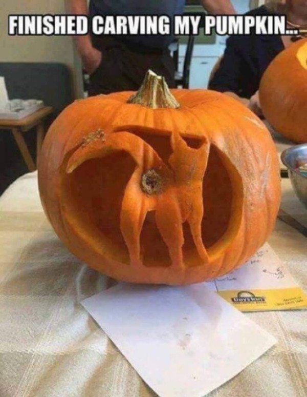 Random Funny Memes (26 pics)