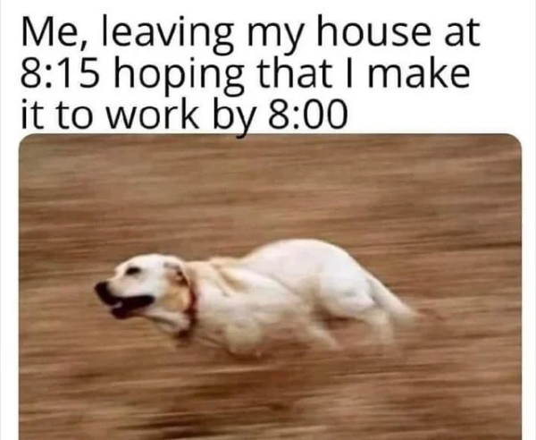 True Memes (28 pics)