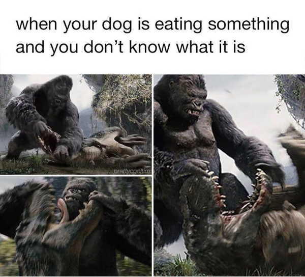 True Memes (28 pics)