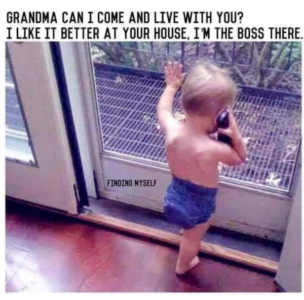 True Memes (28 pics)