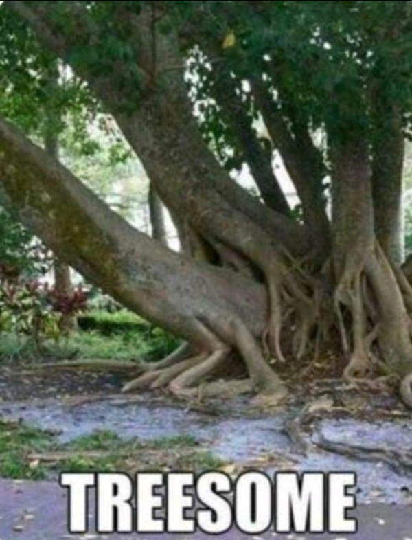 True Memes (28 pics)