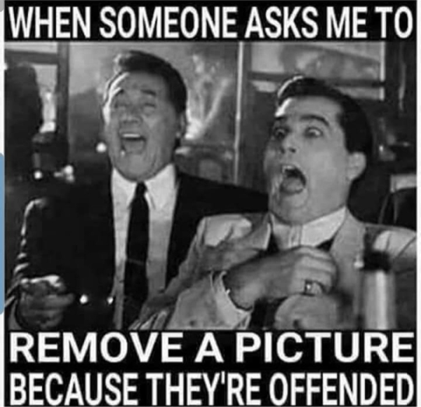 True Memes (28 pics)