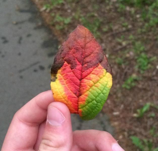 Lucky People (35 pics)
