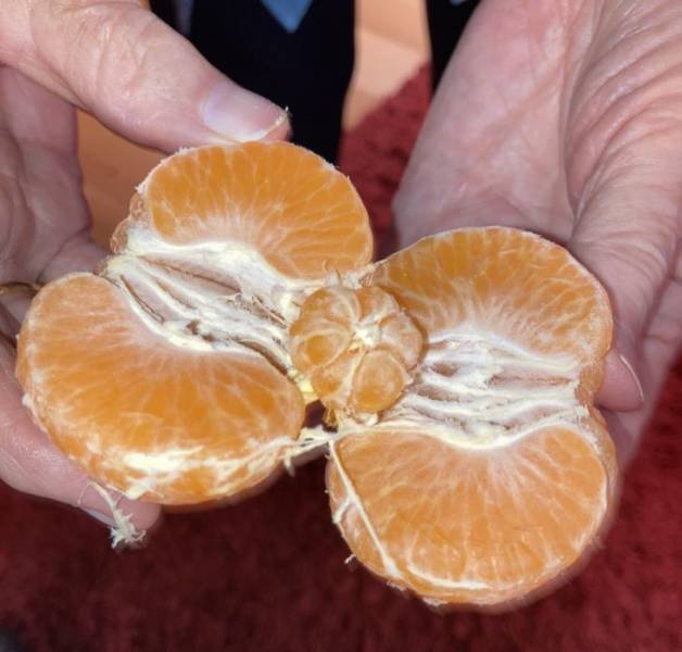 Lucky People (35 pics)