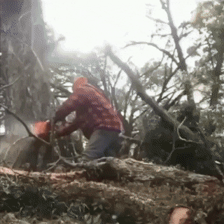 Acid Gifdump, November 1 (25 gifs)