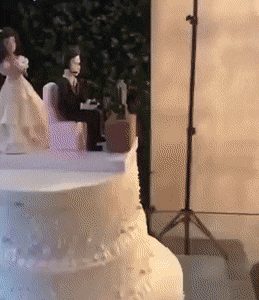 Acid Gifdump, November 1 (25 gifs)