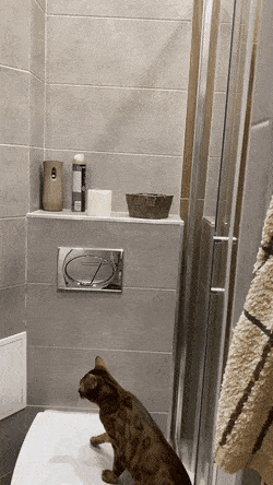 Acid Gifdump, November 1 (25 gifs)