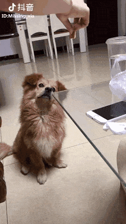 Acid Gifdump, November 1 (25 gifs)