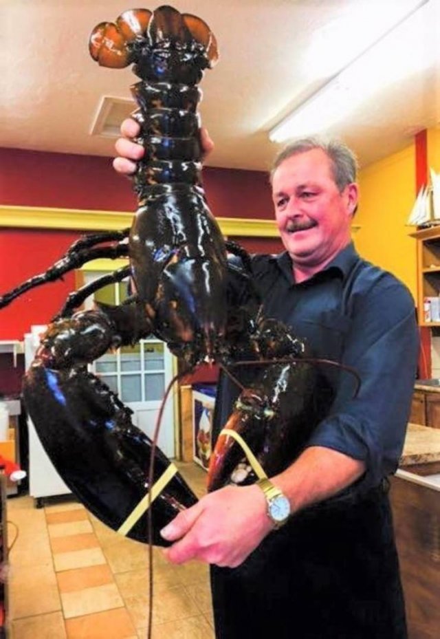 Acid Picdump 1 (89 pics)