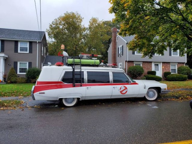 Acid Picdump 1 (89 pics)