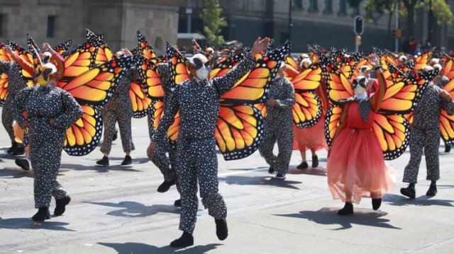 Acid Picdump 1 (89 pics)