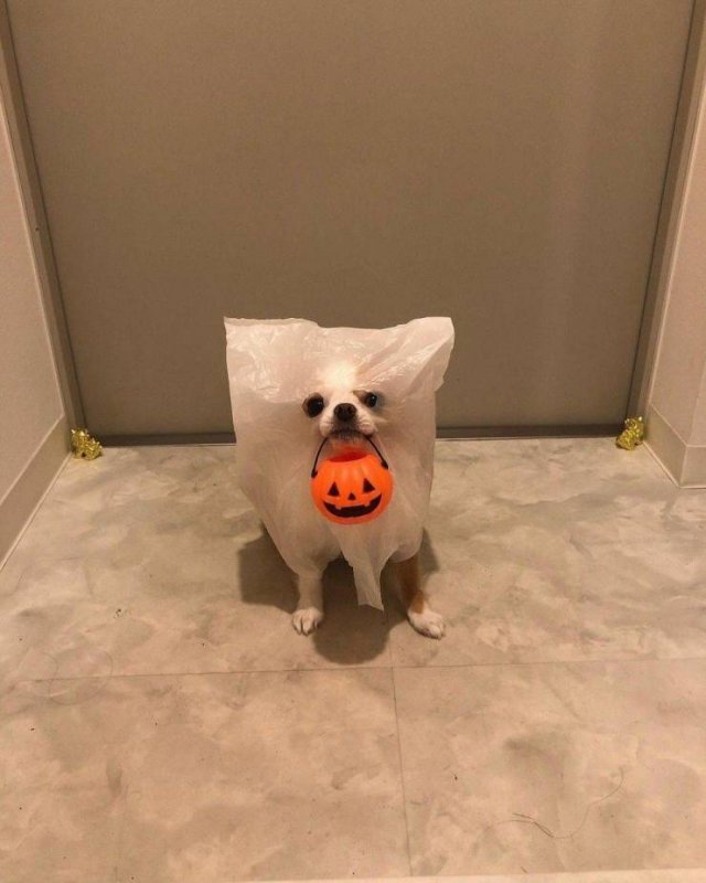 Acid Picdump 1 (89 pics)