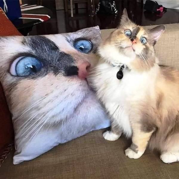 Acid Picdump 1 (89 pics)
