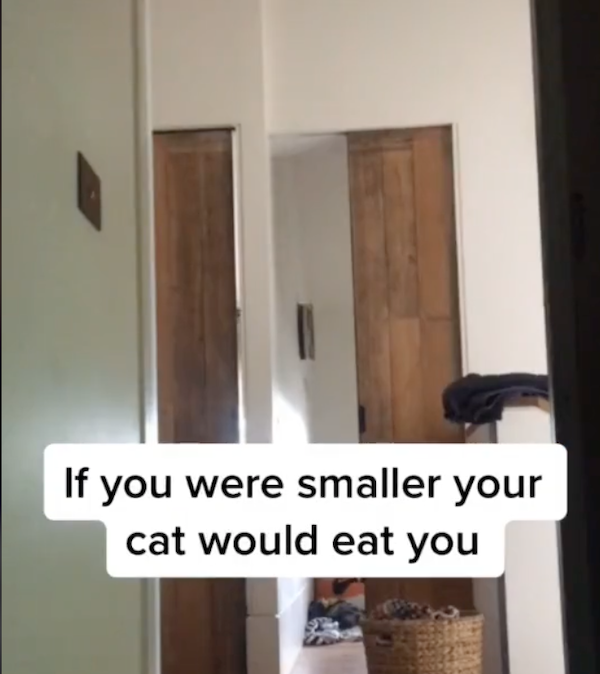 Shower Thoughts (24 pics)