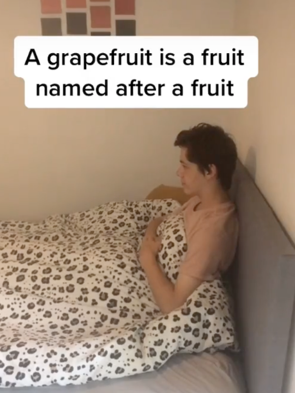 Shower Thoughts (24 pics)