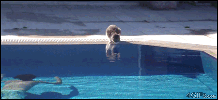 Acid Gifdump, November 2 (25 gifs)