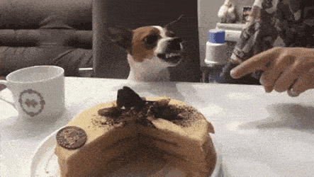 Acid Gifdump, November 2 (25 gifs)
