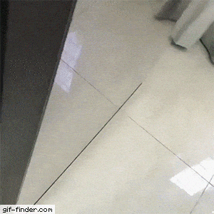 Acid Gifdump, November 2 (25 gifs)