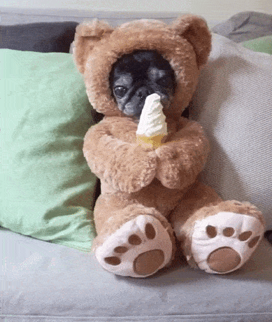 Acid Gifdump, November 2 (25 gifs)