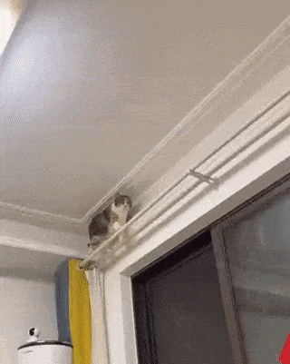 Acid Gifdump, November 2 (25 gifs)