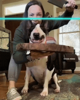 Acid Gifdump, November 2 (25 gifs)