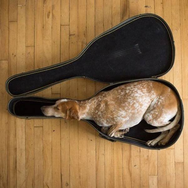 Acid Picdump 1 (86 pics)