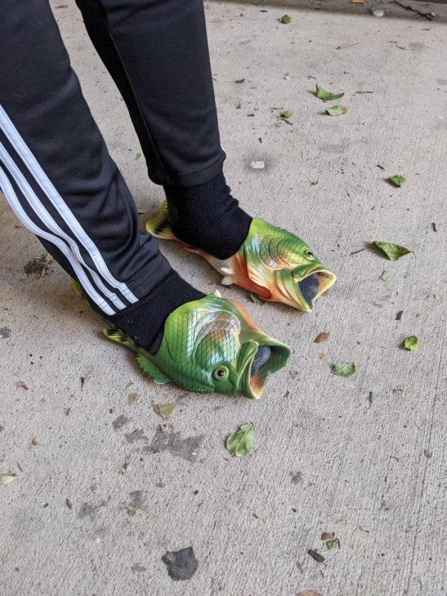 Acid Picdump 1 (86 pics)