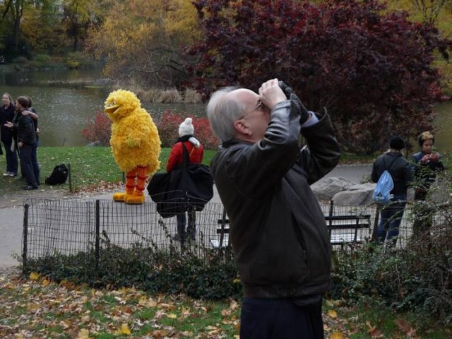 Acid Picdump 1 (86 pics)