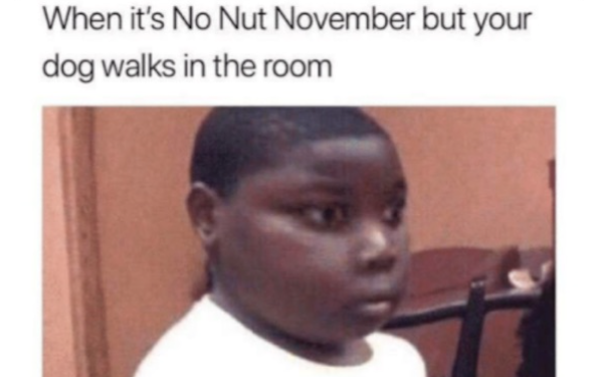 November Memes (29 pics)