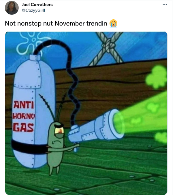 November Memes (29 pics)