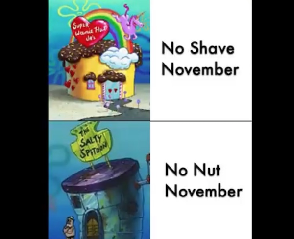 November Memes (29 pics)