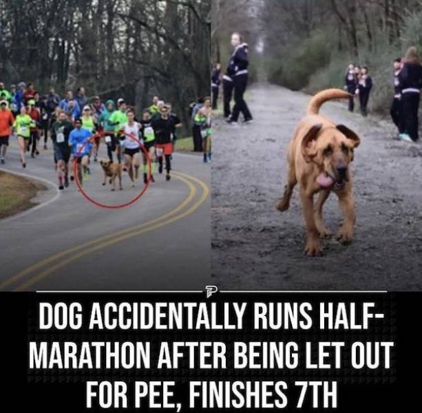 Wholesome Stories (37 pics)