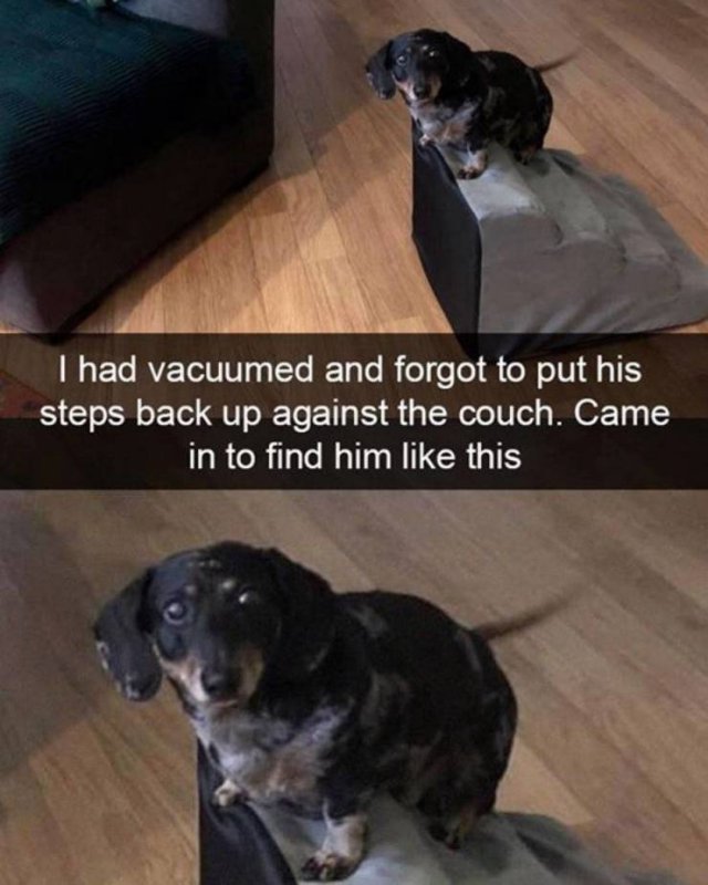 Wholesome Stories (37 pics)