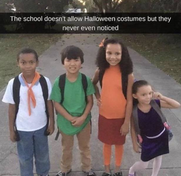 Wholesome Stories (37 pics)