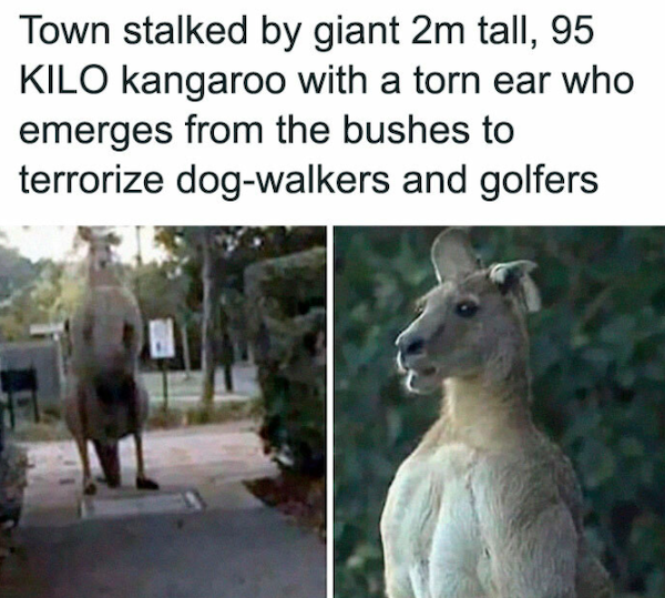 Completely Nailed It (29 pics)