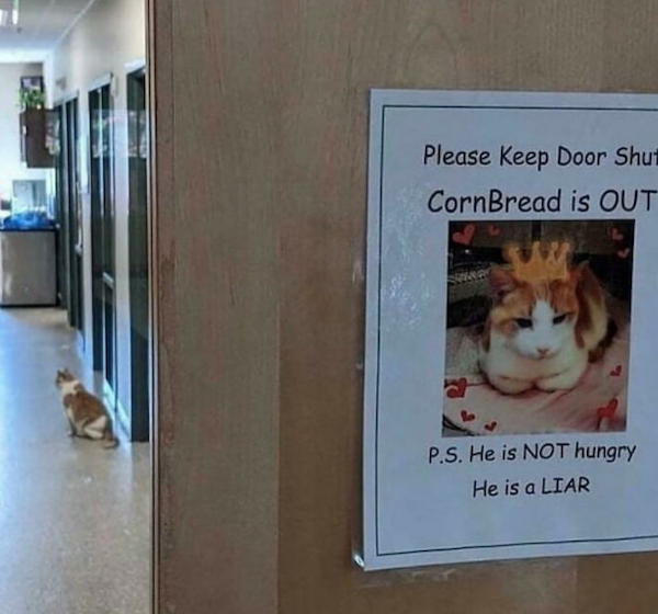 Completely Nailed It (29 pics)