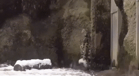 Acid Gifdump, November 3 (25 gifs)