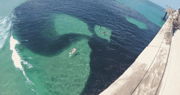 Acid Gifdump, November 3 (25 gifs)