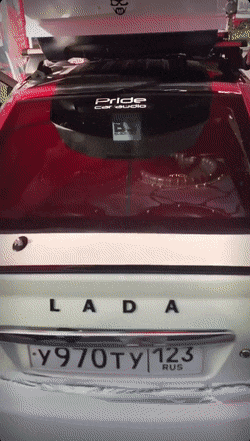Acid Gifdump, November 3 (25 gifs)