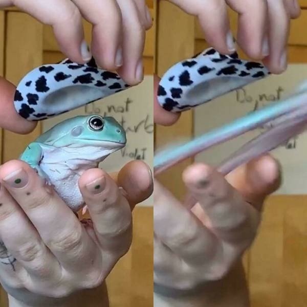 Almost Nailed It (41 pics)