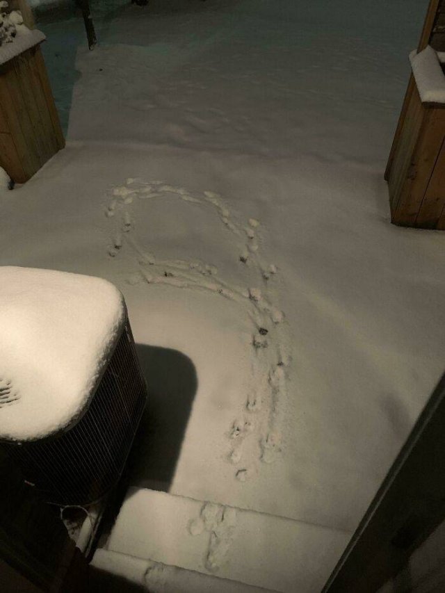 Almost Nailed It (41 pics)