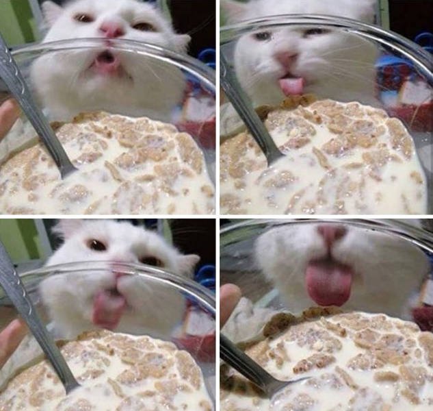 Almost Nailed It (41 pics)
