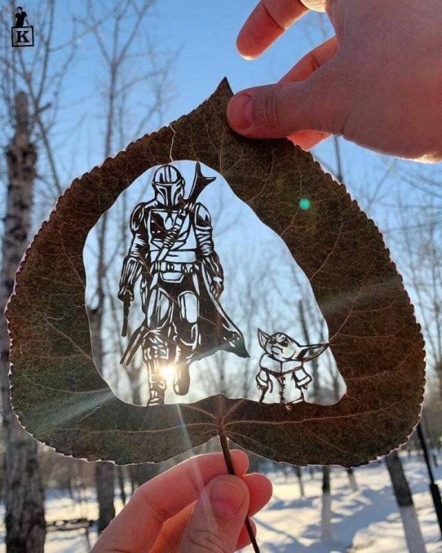 Acid Picdump 2 (86 pics)