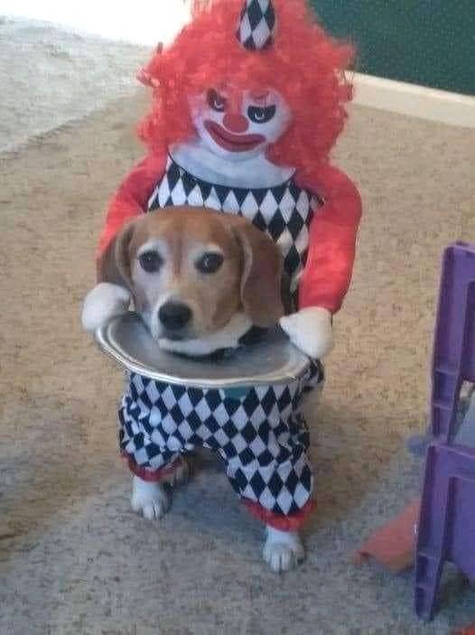 Acid Picdump 2 (86 pics)