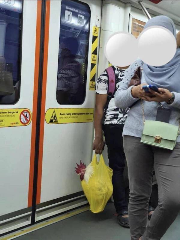 Weird Subway Passengers (32 pics)